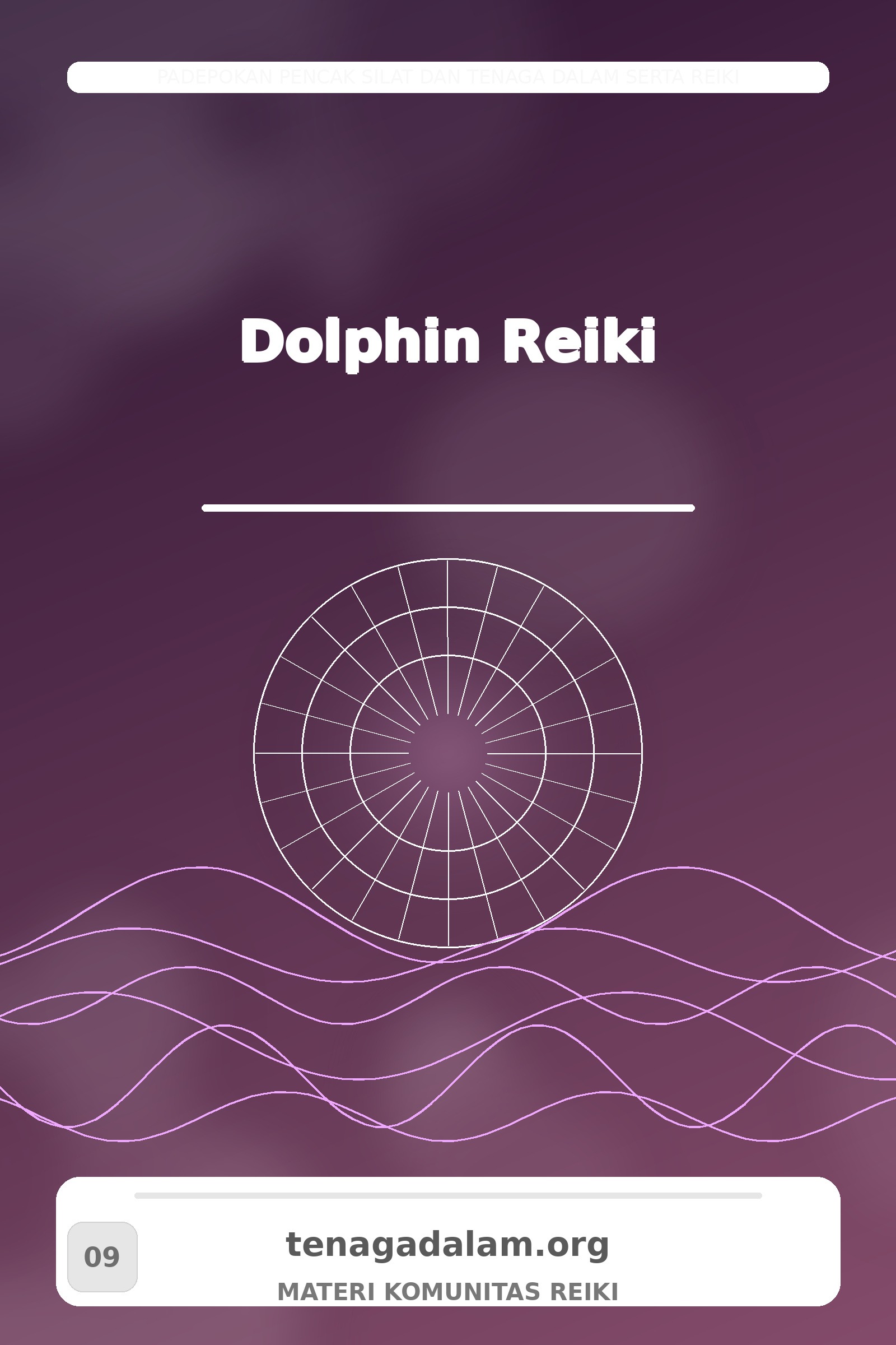 Dolphin Reiki